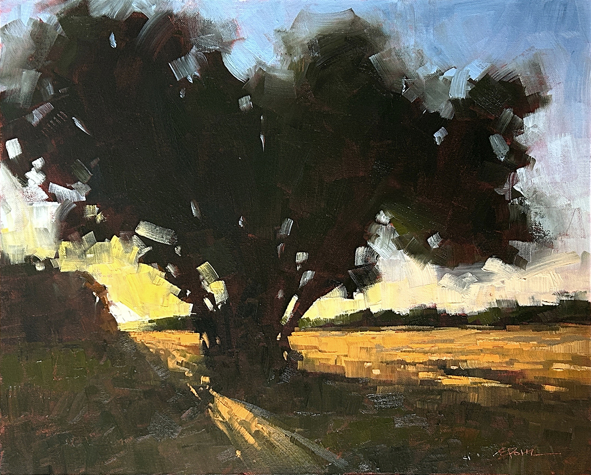 Morning Glow IMG_7120